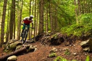 Male mountain biker riding in a forest